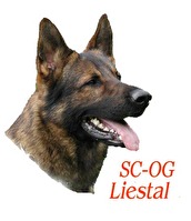 Kopf eines Schäferhundes mit Logo des Vereins