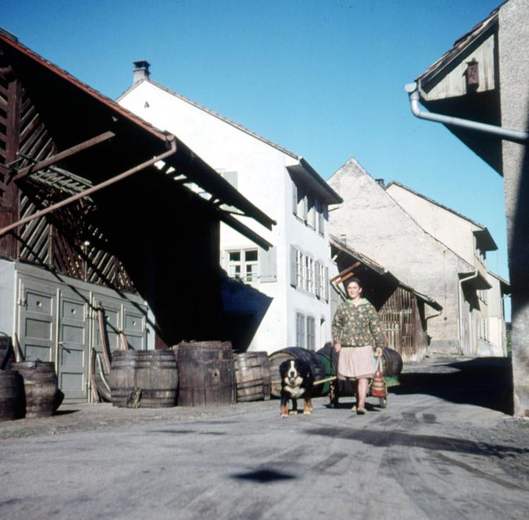 mit Küferei Bracher, Bauernhaus von Martin (Gemeinderat)