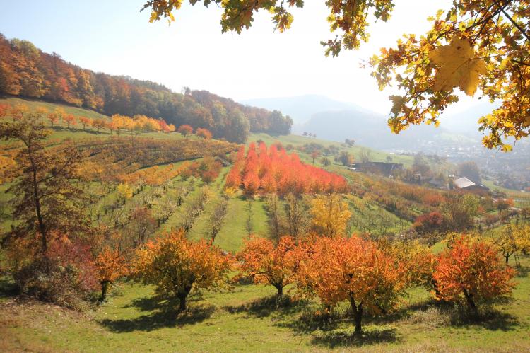 Herbst 2014