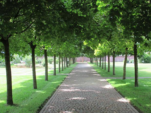 Auf dem Friedhof Sissach