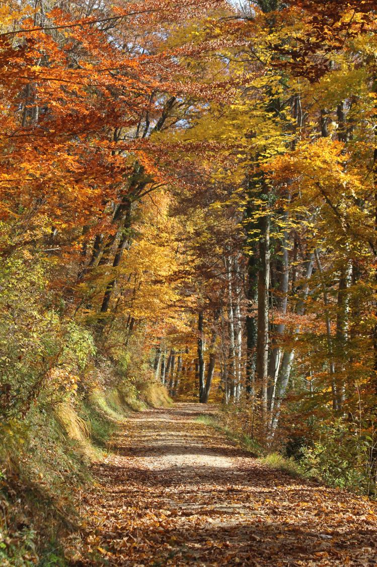 Herbst 2014