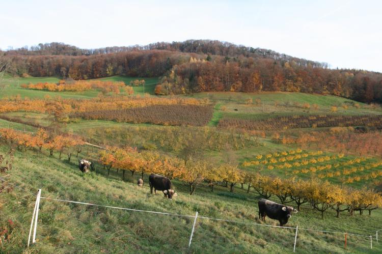Herbst 2014