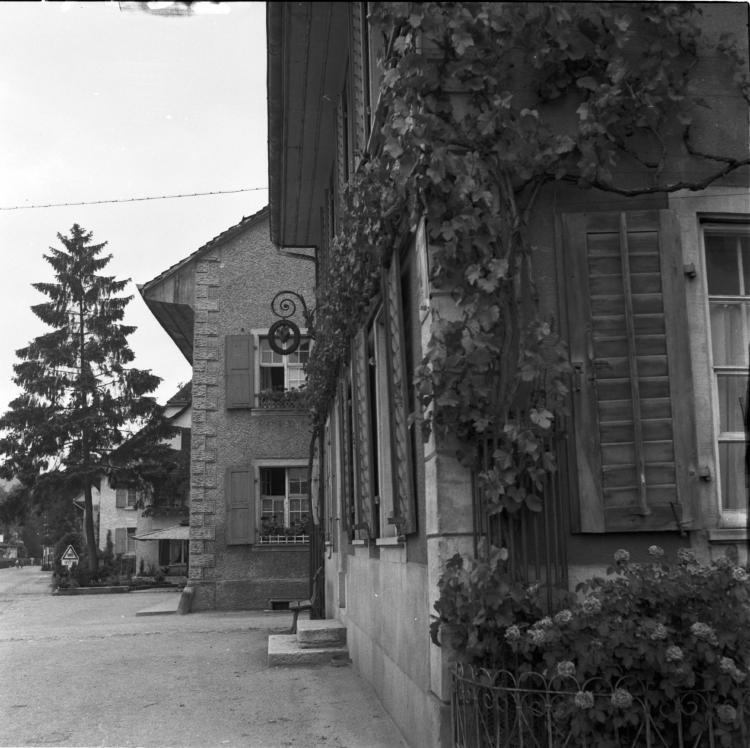 Meyer Nr. 112
Catelli Nr. 114