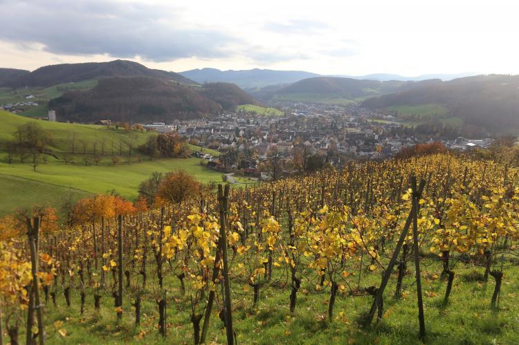 Herbst 2014