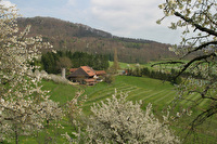 Bauernhof