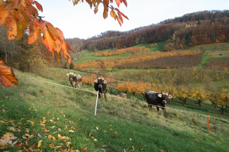 Herbst 2014