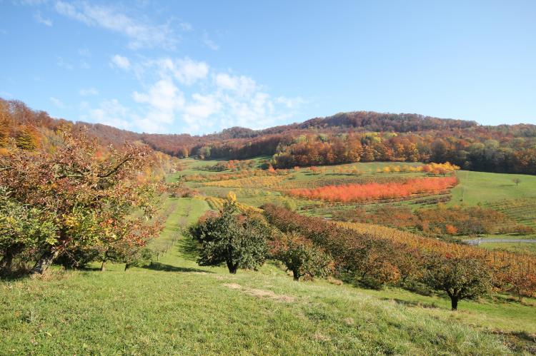 Herbst 2014