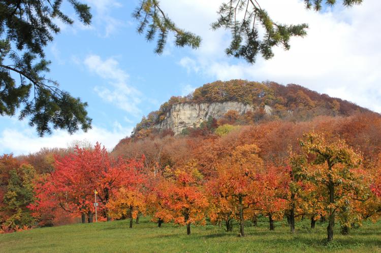 Herbst 2014