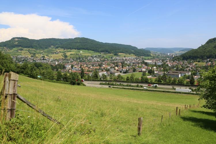 Sommer 2015