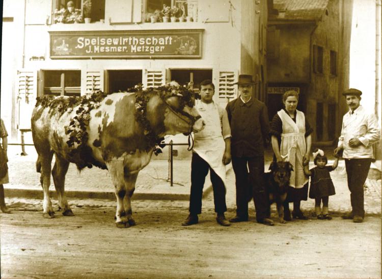 mit Osterstier, 1923