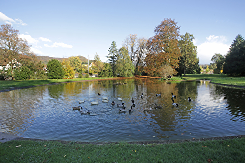 Ebenrainweiher