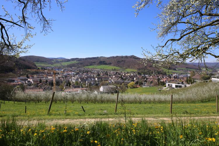 Frühling 2015