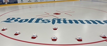 Bild des Eishockeyfelds mit Kappen