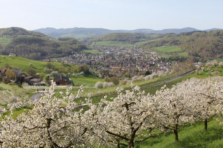 Frühling 2015
