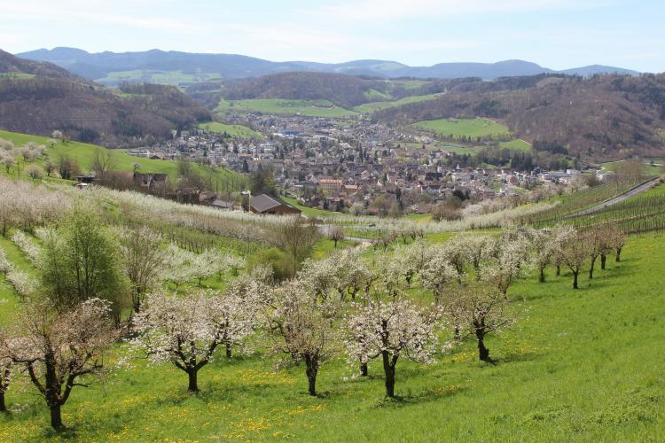 Frühling 2015