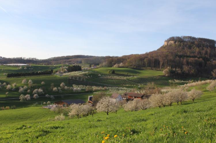Frühling 2015