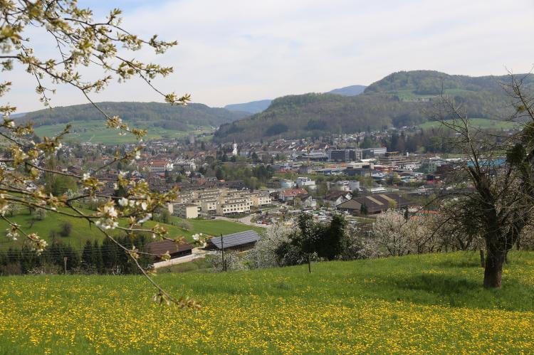 Frühling 2015