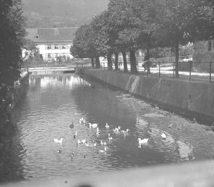Stauwehr wegen Schliffi