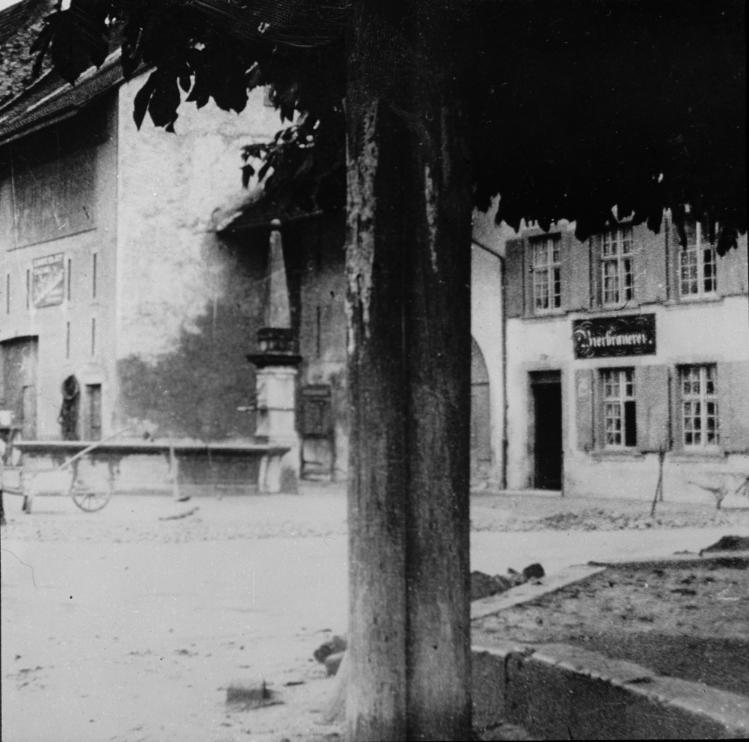 alte Braue mit Scheune und Stall, Dorfbrunnen