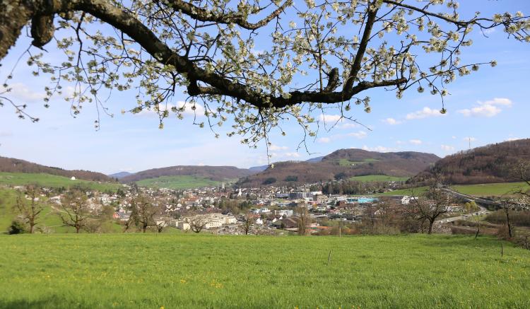 Frühling 2015