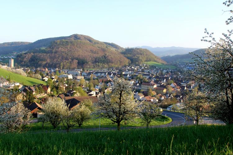 Frühling 2015