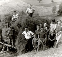 Familie Sutter beim Heuen