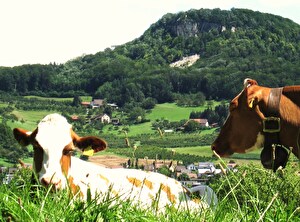 Blick auf Sissacherflue vom Ebenrain