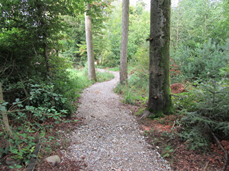 Neuer Fussweg Erlenholzstrasse