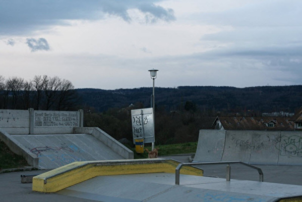 Bild der Skateanlage Wallisellen