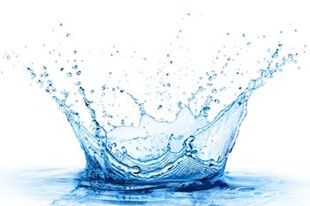 Wasser