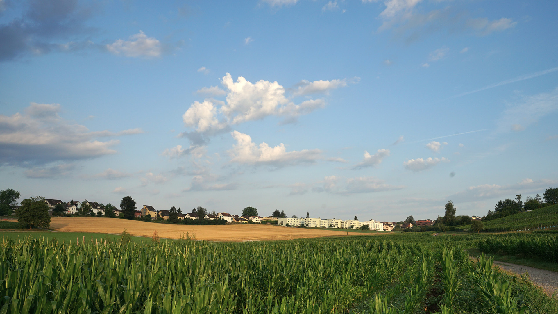 Hörnligraben