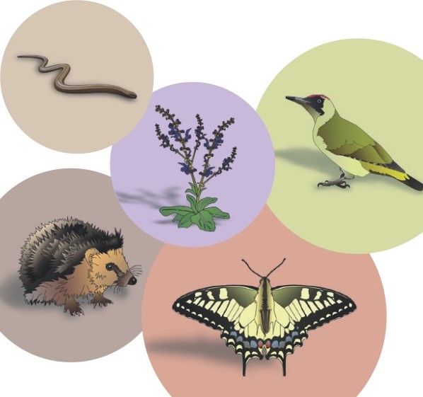 Naturfinder