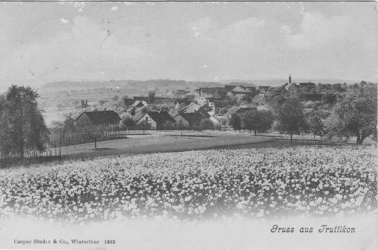 Truttikon um 1900