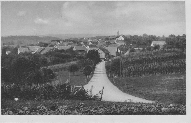 Truttikon um 1900