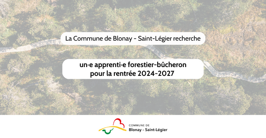 Logo offre d'emploi