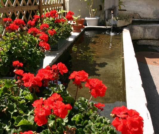 Fontaine de Cojonnex