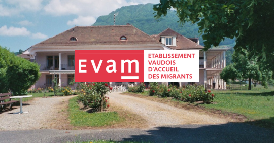 Extension Mottex - EVAM