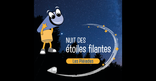  Nuit des étoiles filantes