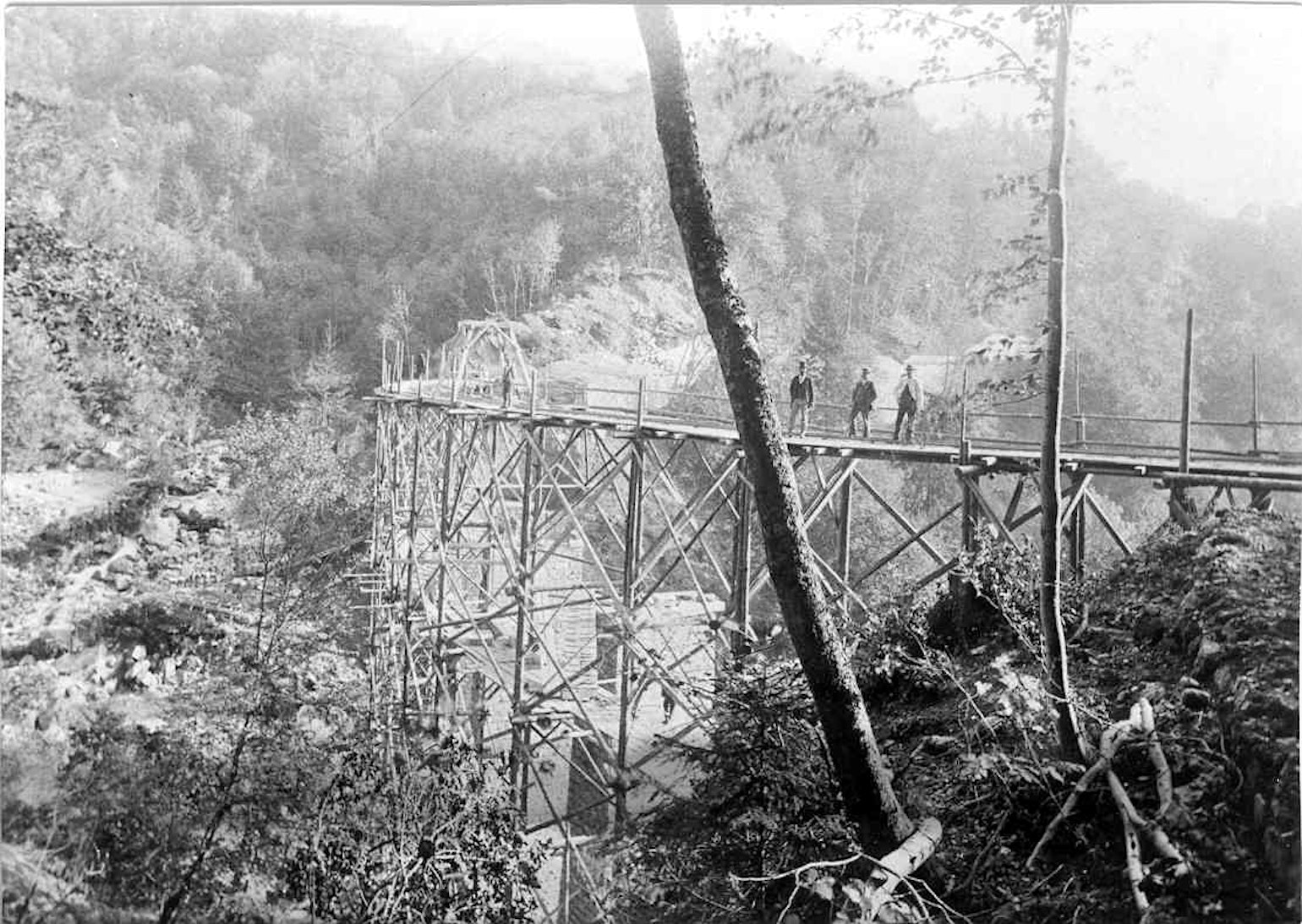 1901
