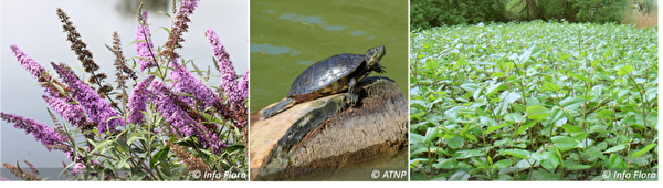 Biodiversité