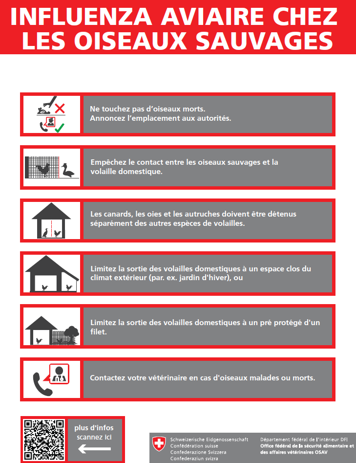 Affiche grippe aviaire