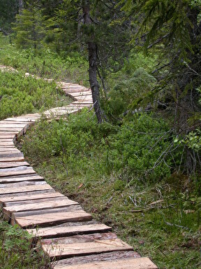 Sentier des Tenasses