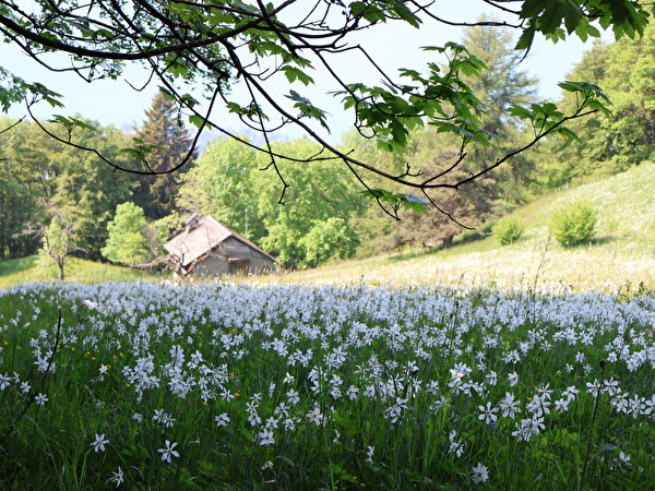 Concours photos du COMM'une info - n° 84-86