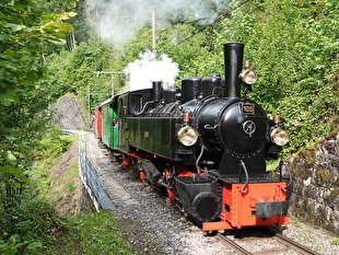 Photo du train Blonay - Chamby peu avant le viaduc de la Baye de Clarens