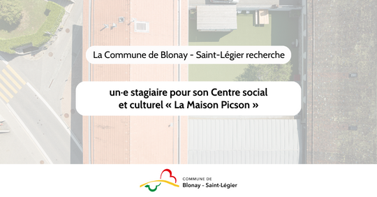 Offre d'emploi - stagiaire maison Picson