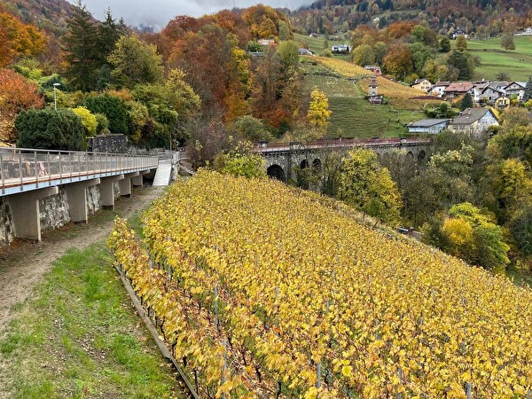 Passerelle de la Route de Brent