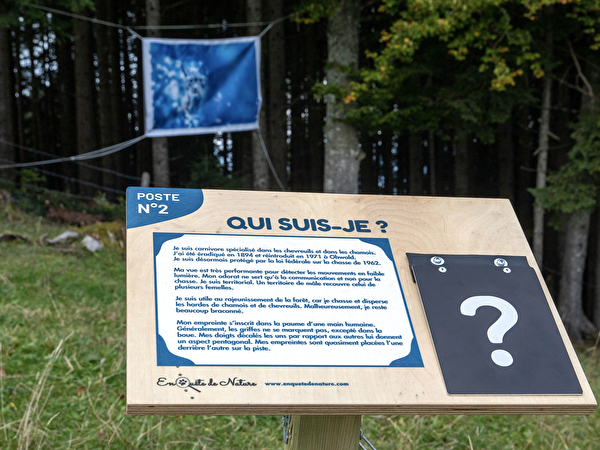 ExpoNature : une nouvelle activité en forêt pour petits et grands - COMM'une info n° 81