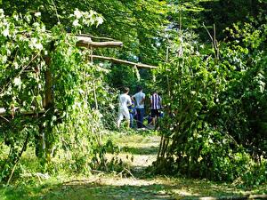 Eine Gruppe (die Grossen) grenzten sich mit einer Art Grenz-