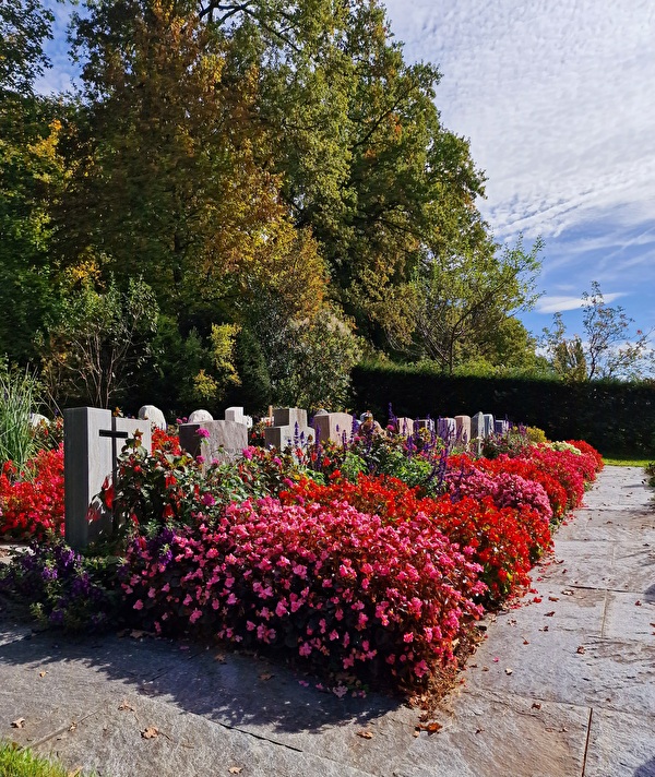 Friedhof