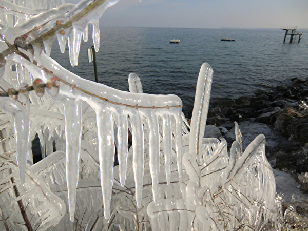 Bodensee bei Horn im Winter